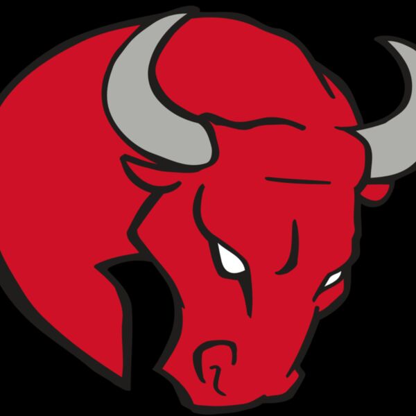 AR BULL 24 RC Thumbnail