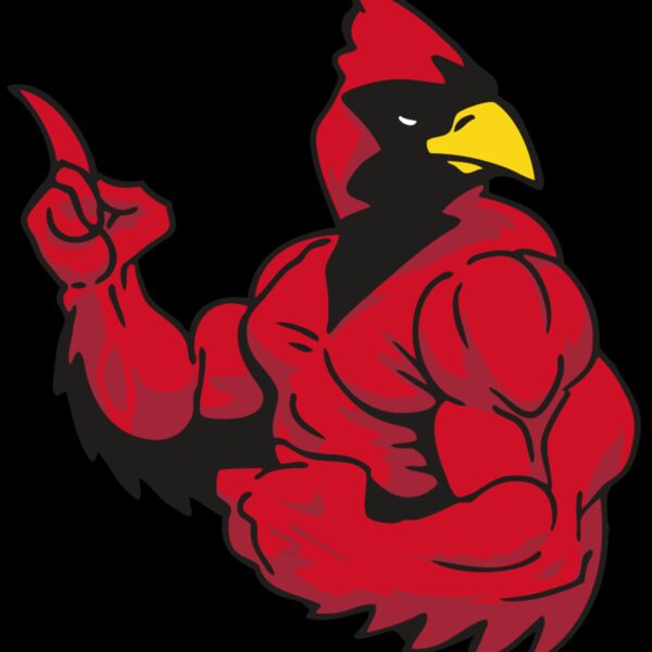 AR CARDINAL 28 RC Thumbnail