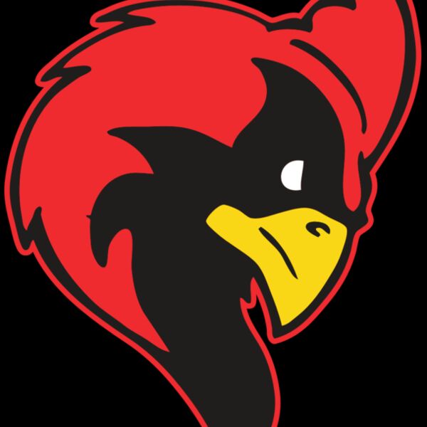 AR CARDINAL 24 RC Thumbnail