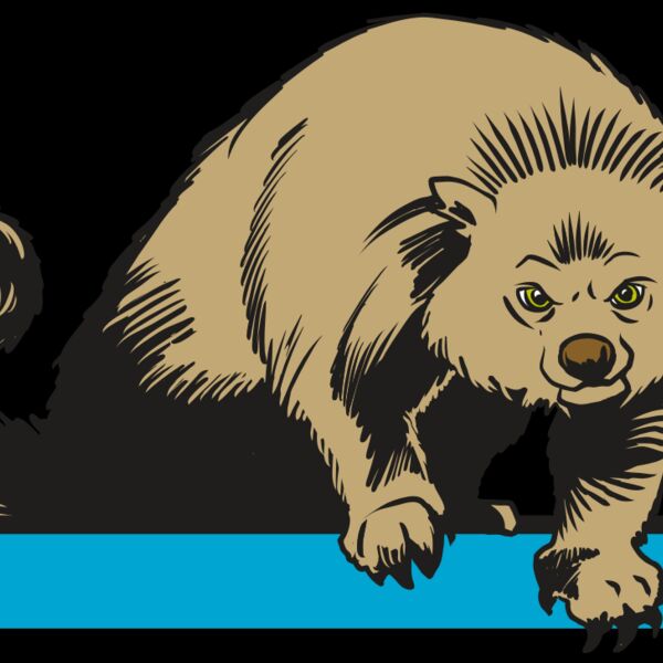 AR22 BEARCAT 02 RQC Thumbnail