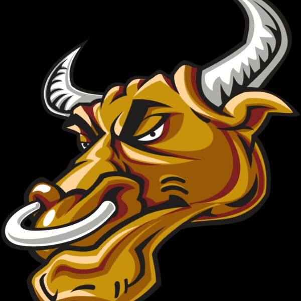 BULL HD0502 RQC Thumbnail