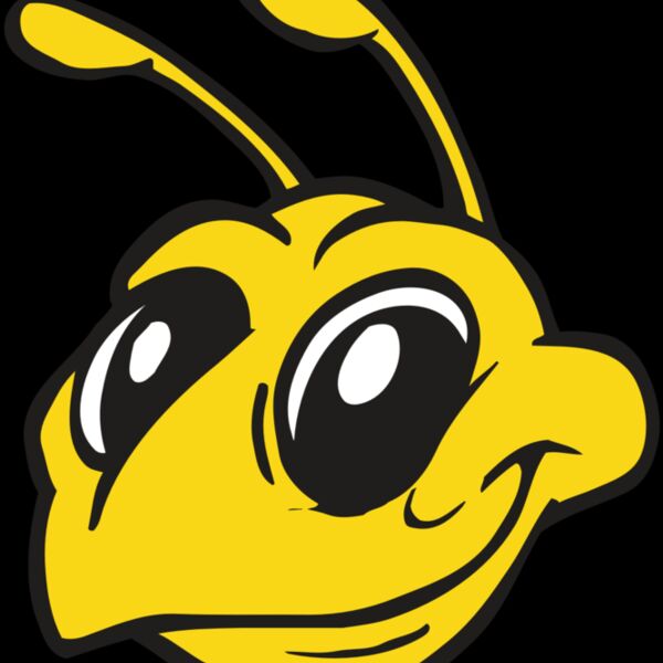 AR BEE 28 RC Thumbnail