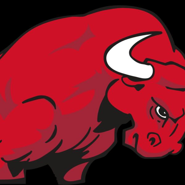 AR BULL 12 RC Thumbnail