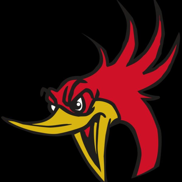 AR31 ROADRUNNER 02 RQC Thumbnail