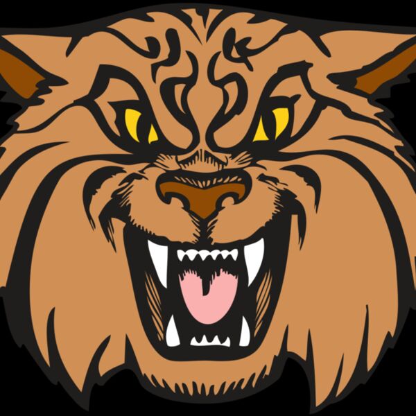 BAW WILDCAT 04 RC Thumbnail